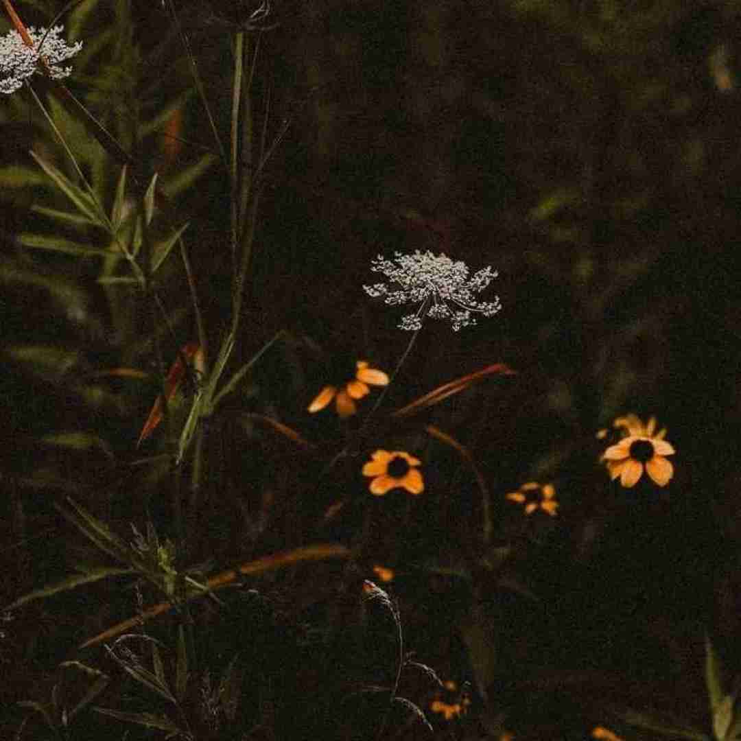  من تورو خوب دیدم اما خراب بوده بیست