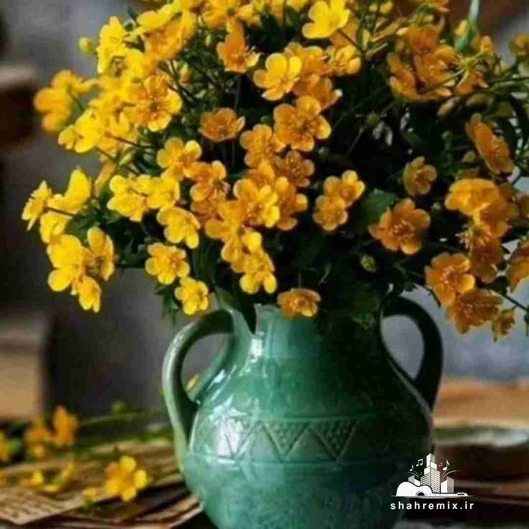 ما هرکاری کردیم اخ بود هرجایی بدبین اخمو