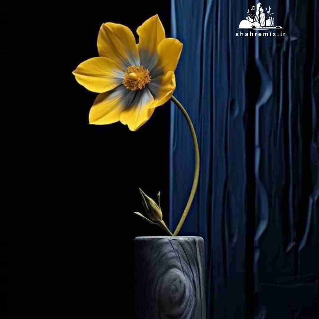  یک فمیلی فرست همه چی اونه صبحونه بخور