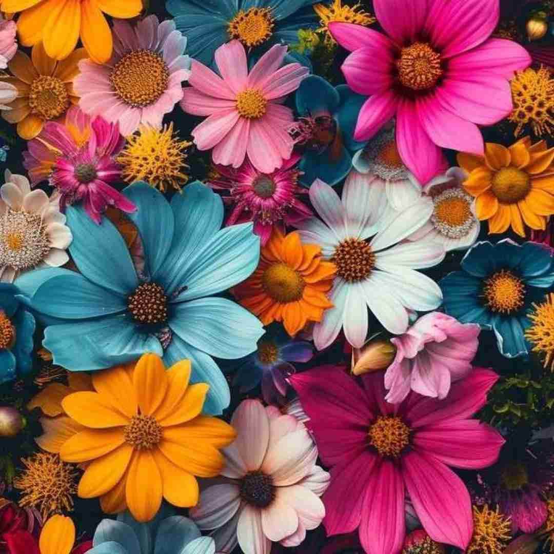 حال دلا خوب نی تو آدما نمیگم که حق بدی بهم ها