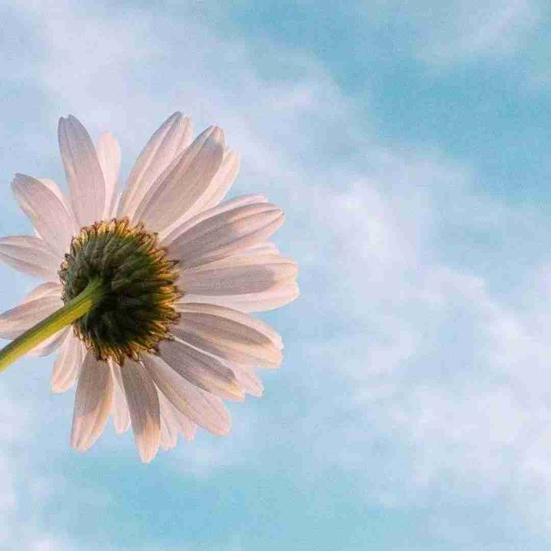 مثل چشات تو عالم ندیدم ندیدم هوش مصنوعی