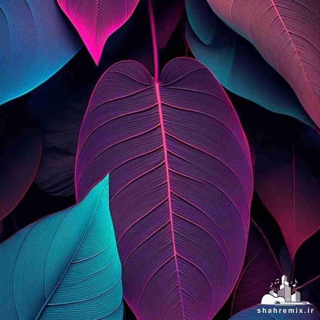  عروس رفته گل بچینه بگین این دور بچینه ترند اینستا