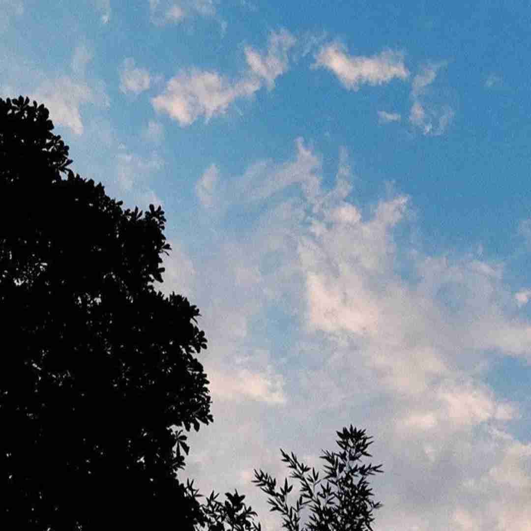 هرکس به تمنای کسی غرق نیاز است