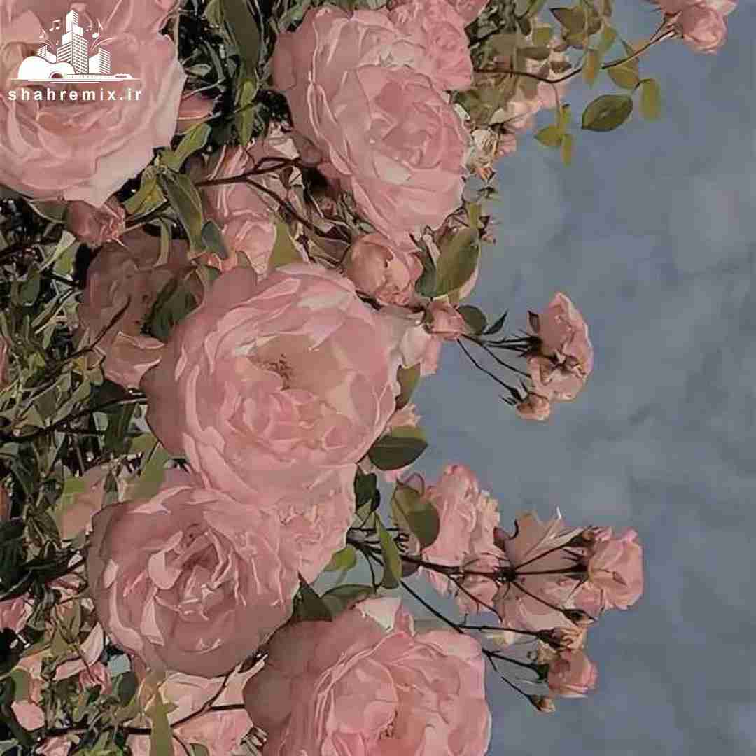 آخه تو من بهم ریخته رو جمع میکردی