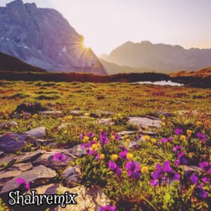 دانلود پلی لیست آهنگ های پر انرژی برای شروع صبحگاهی