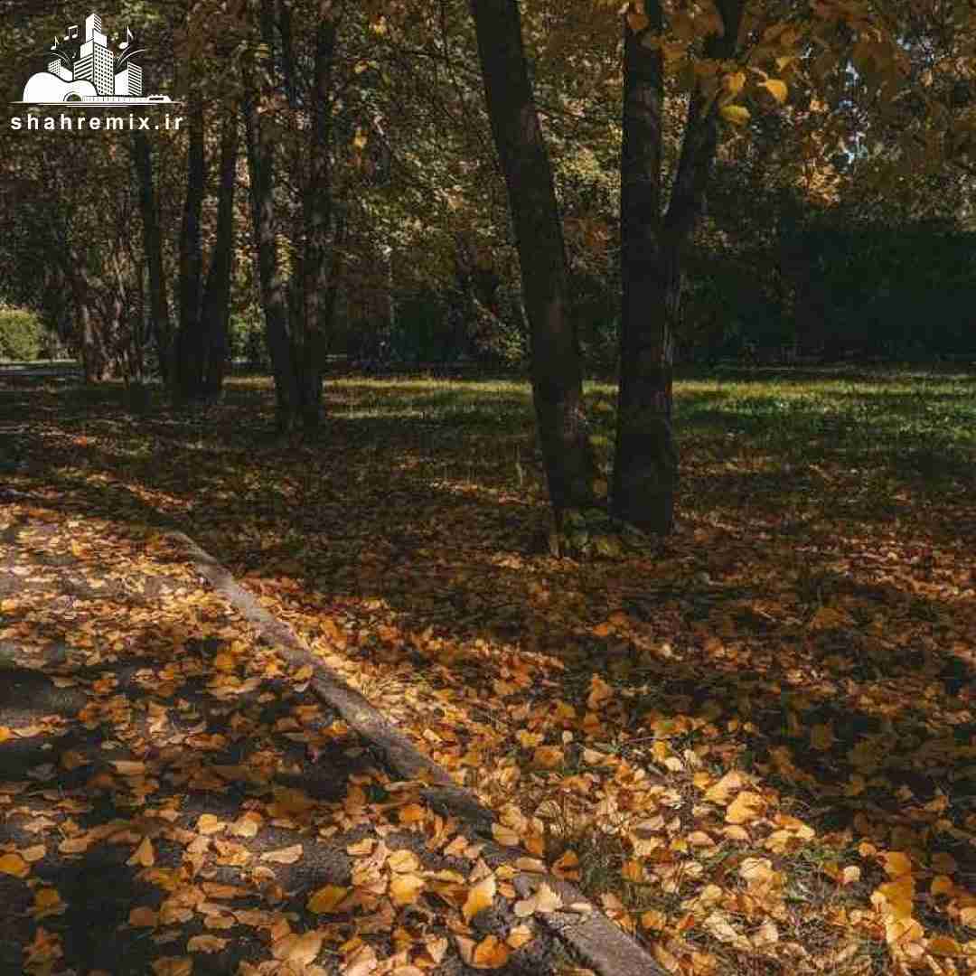  تو میگی یه وقتا گاهی پیش میاد یه اشتباهی نه دیگه