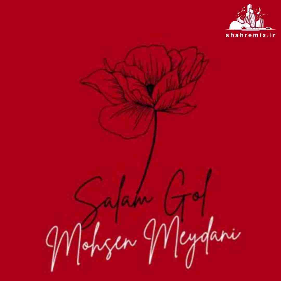 محسن میدانی سلام گل