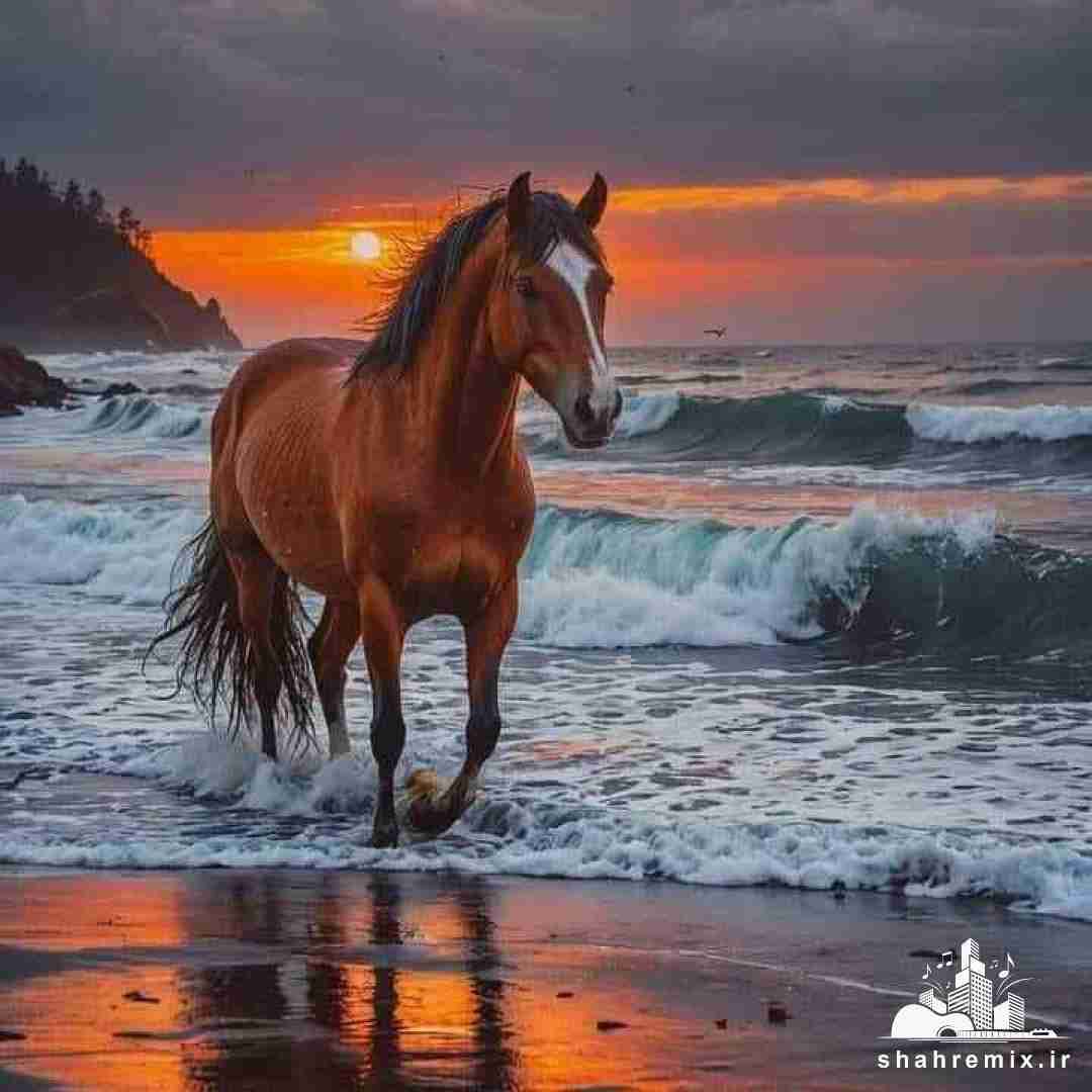 عکسم بود بکگراند گوشیت