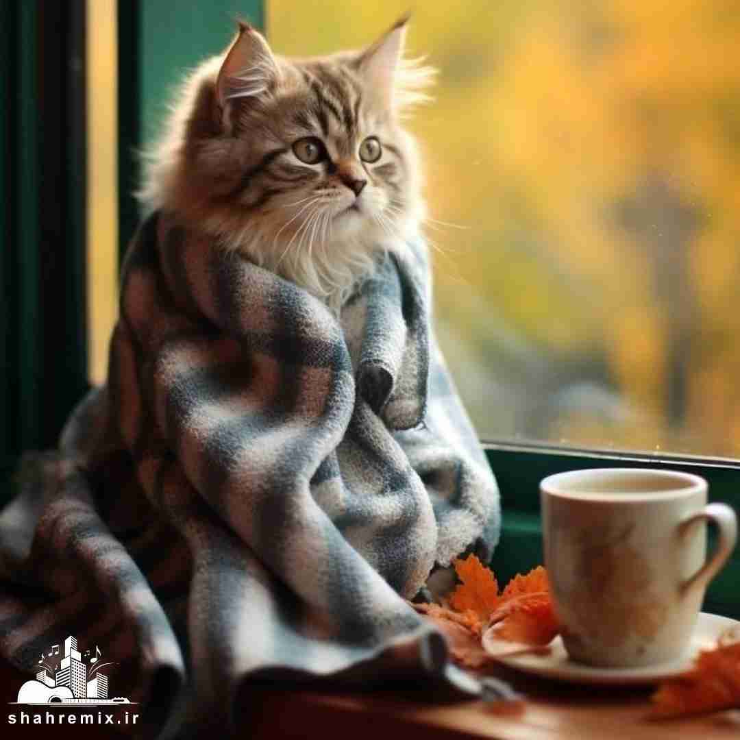 حاجی ما تهشو دیدیم اینستایی