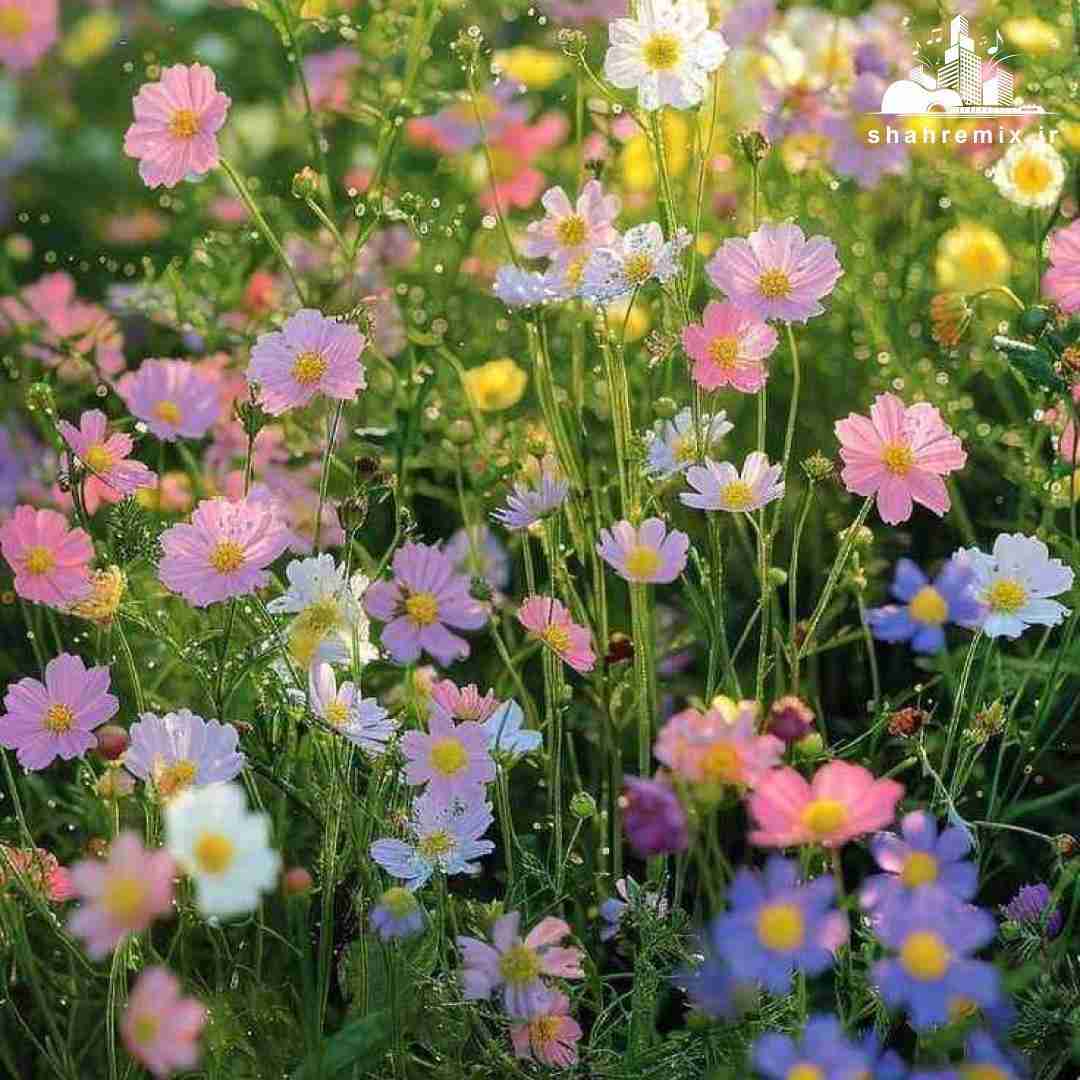 میترسم از روزای بارونی اخه من و یاده تو میندازه
