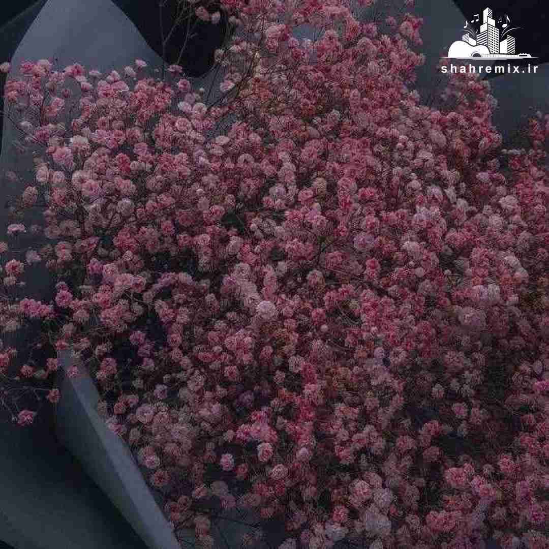 خیلی بد گذشت تو نبودی ببینی چقدر سخت گذشت دورچی