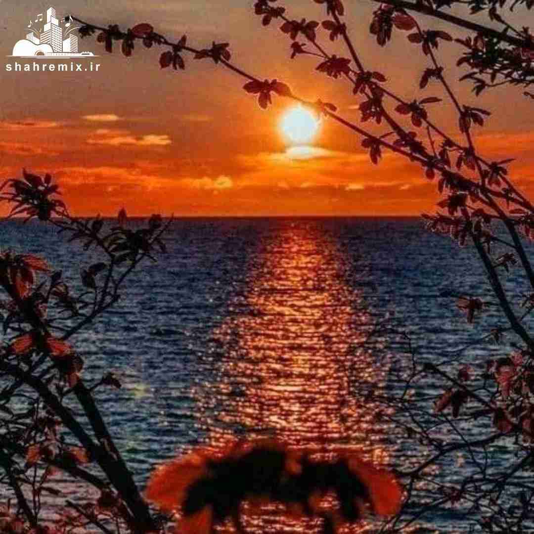 هیش در میزنن صدا تق تق میاد همسایه زنگ زده