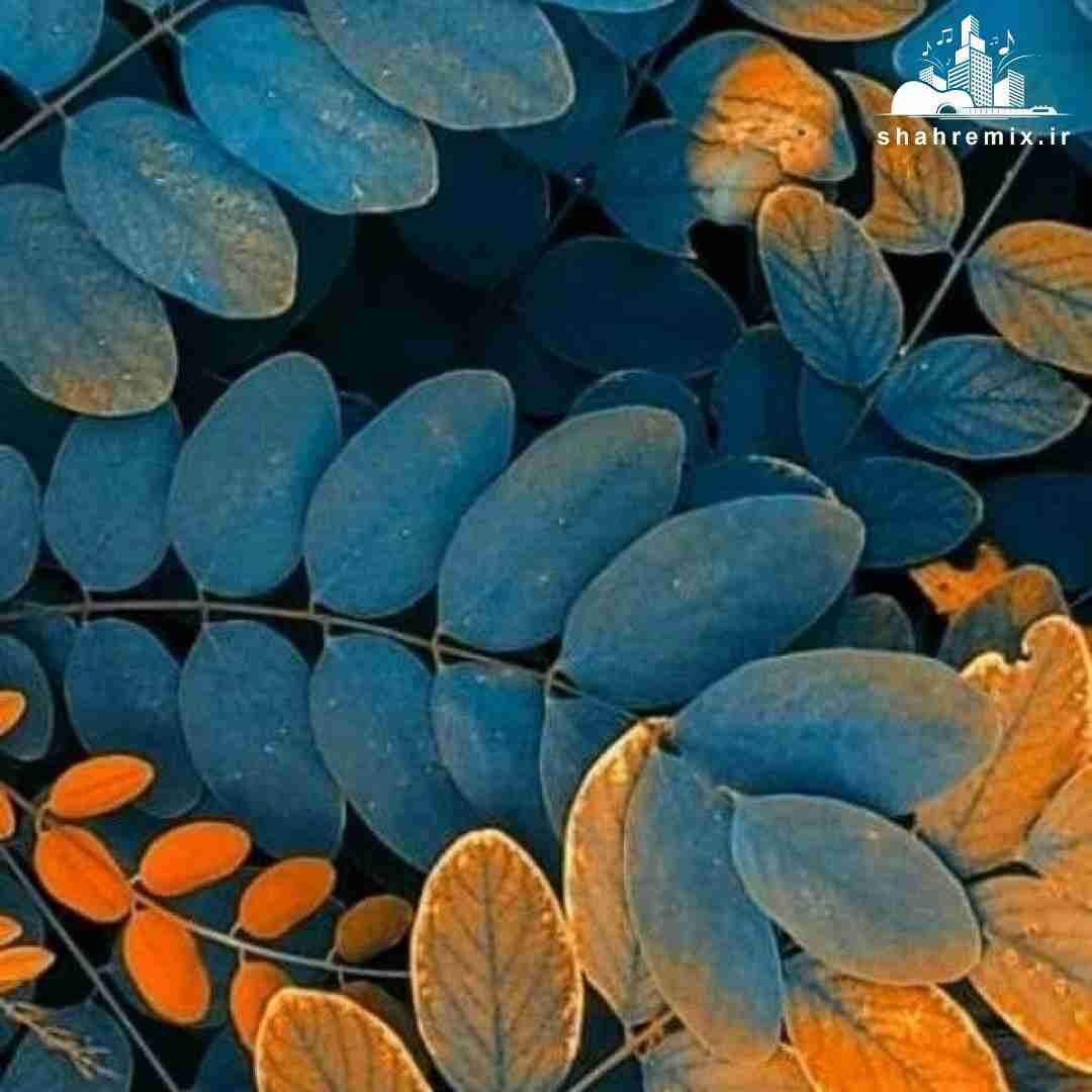  به تو‌ میرسه سر تا پا تو بگیرم‌ طلا