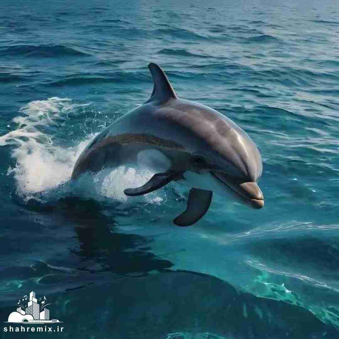  ﺑﻴﺎ ﺑﺸﻜﻦ در اﻳﻦ ﺧﻮﻧﻪ رو اﻣﺎ ﺑﻪ دﻟﻢ دﺳﺖ ﻧﺰن