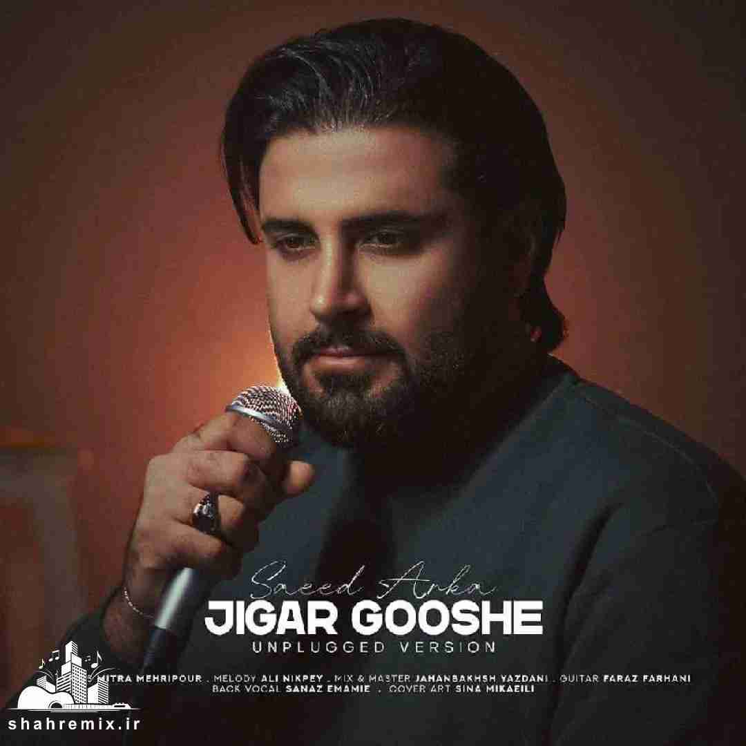 سعید آرکا جیگر گوشه (ورژن آنپلاگد)