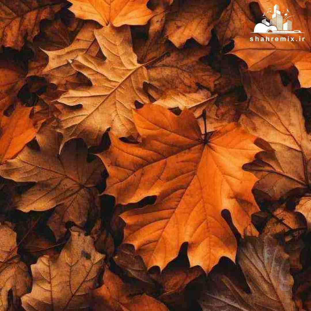  تا بوت ها رو زمینه تابوت ها رو هوان