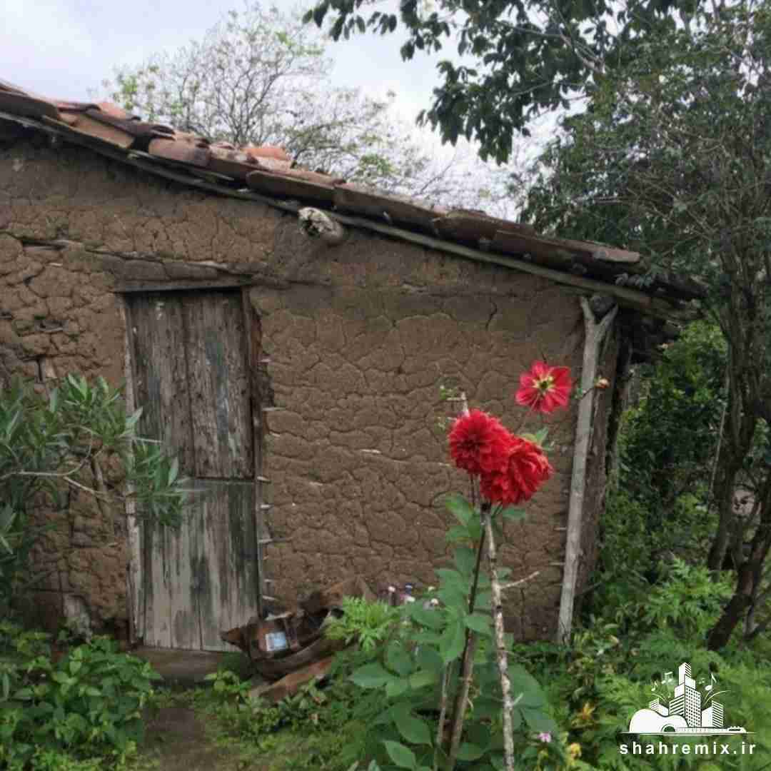  مگه نمیدونی عیده دیروز که گذشت امروزو ببین