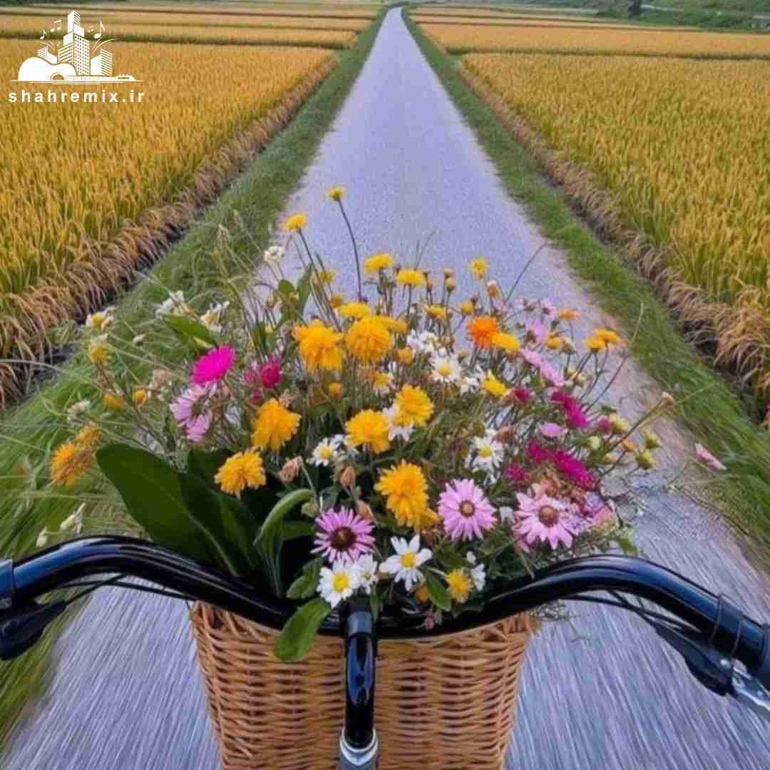 بدنه سالیب لیزری گلرسن منه بی بی