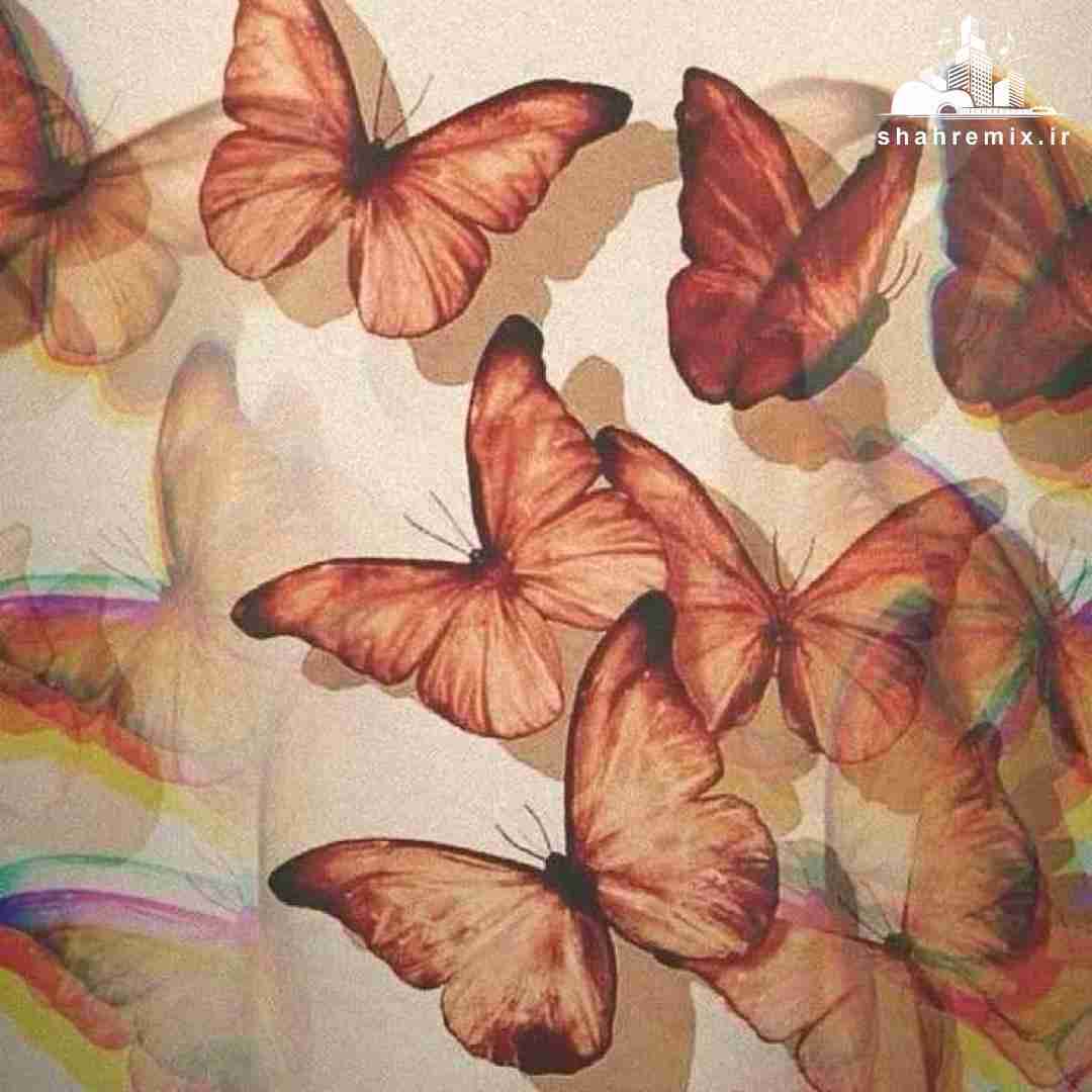 به خودم قول دادم اینبار از کسی قول نگیرم
