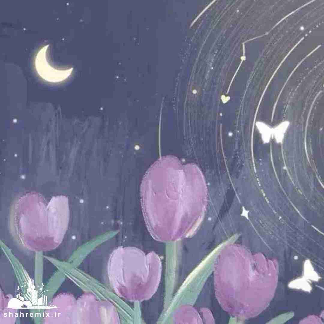  امشب شده ول بشو تو بغلم ول بشو