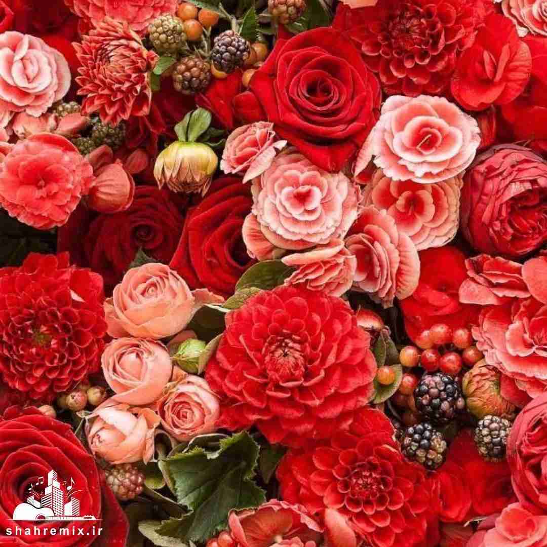  اگه گفتم دوست دارم واسه قدیما بود بغلت تو بغلم