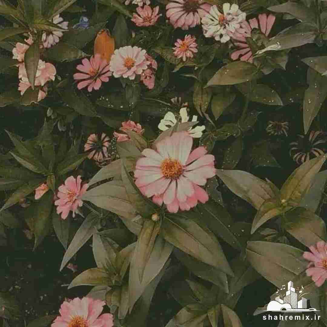  اﻟﻜﻞ ﺑﻬﻢ ﻧﻤﻴﺴﺎزه در ﻛﻞ وﻟﻰ ﺧﻮب ﺑﻬﺘﺮ از ﮔﻞ