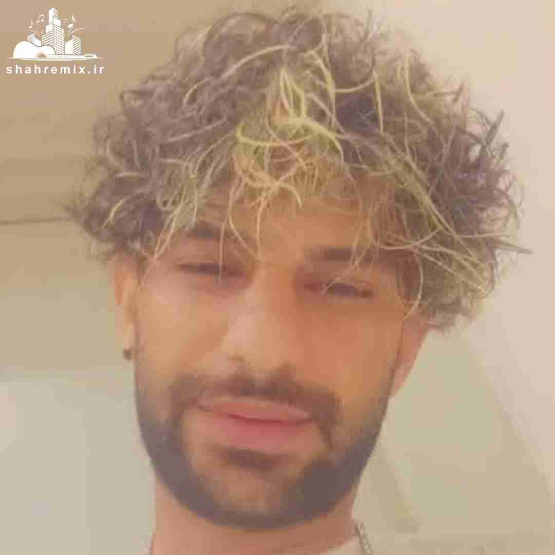 رضا رادین برگرد