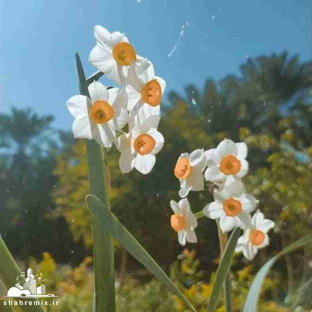 تویی سهم من و نگیرش ازمو این دفعه نرو