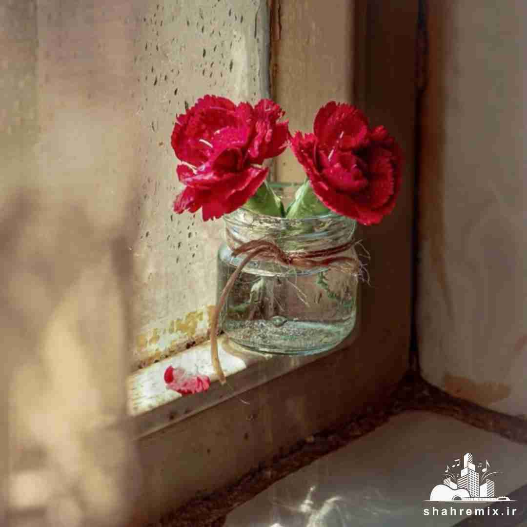 قلبم بود نتونستم باور کنم که هست