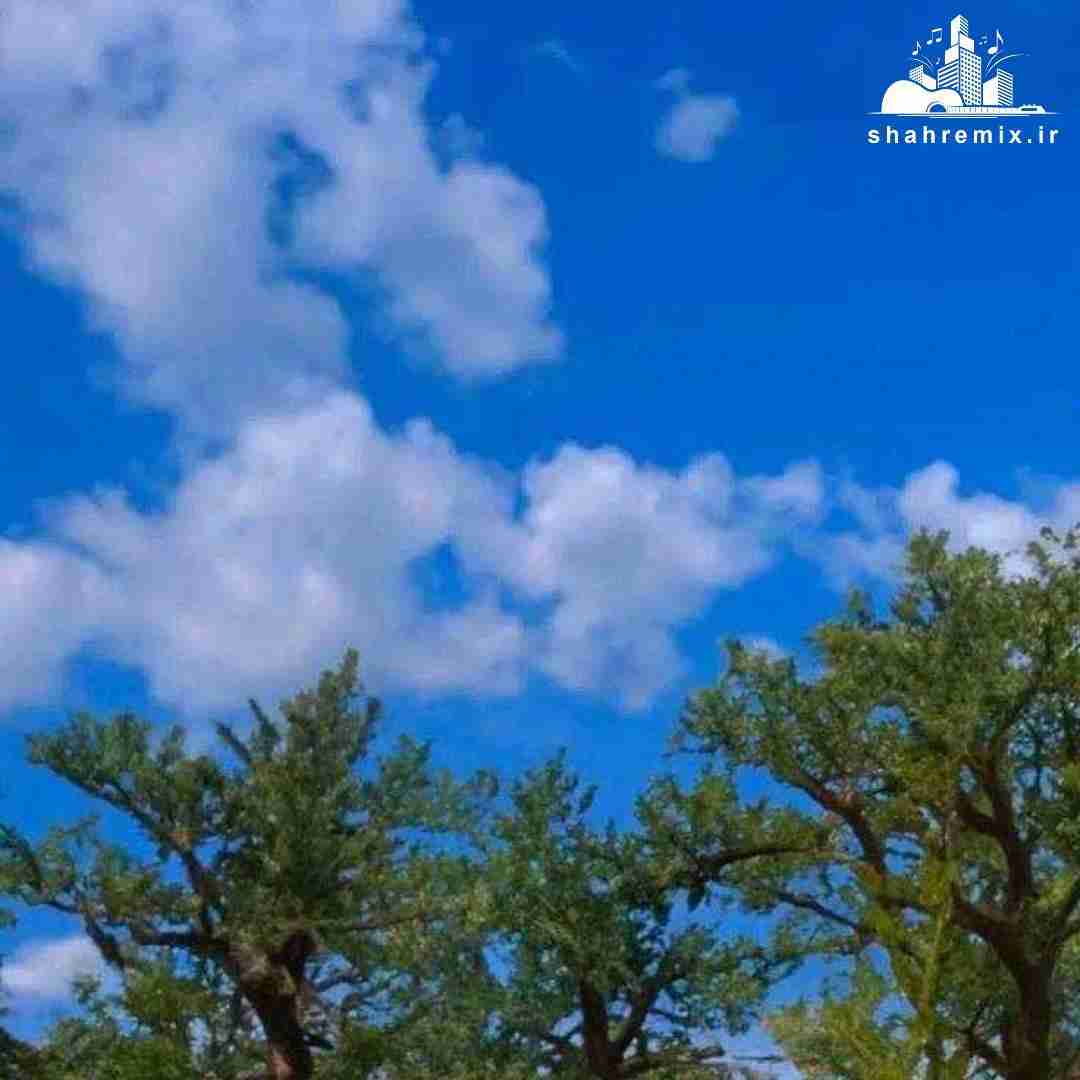 خودیا از همه دشمن ترن تو پشتم زدی که از پشت بهم زدن