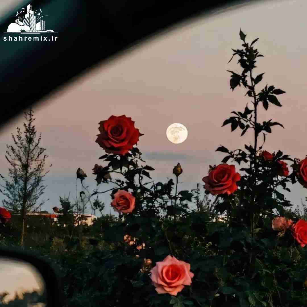  بیبی تو که راه میری من یادم میره فامیلیمم تورو که اصلا نگم