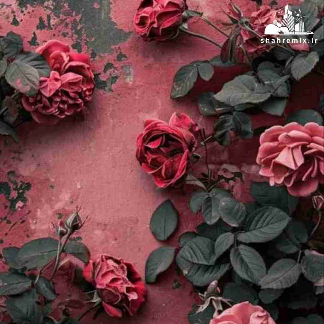  تو سرم ترکید دینامیت یهو تموم شد سن بیخیالیم