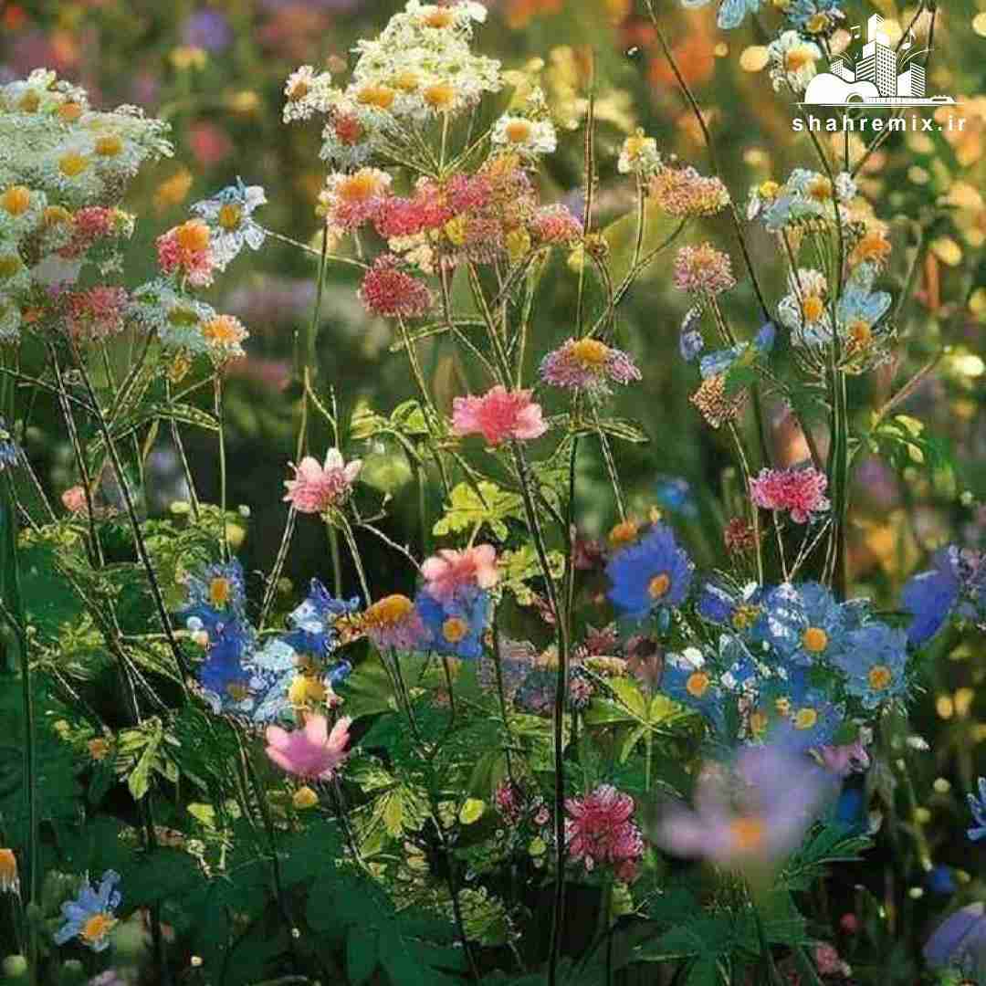  کسی به ما شک داره اگه داره به درک