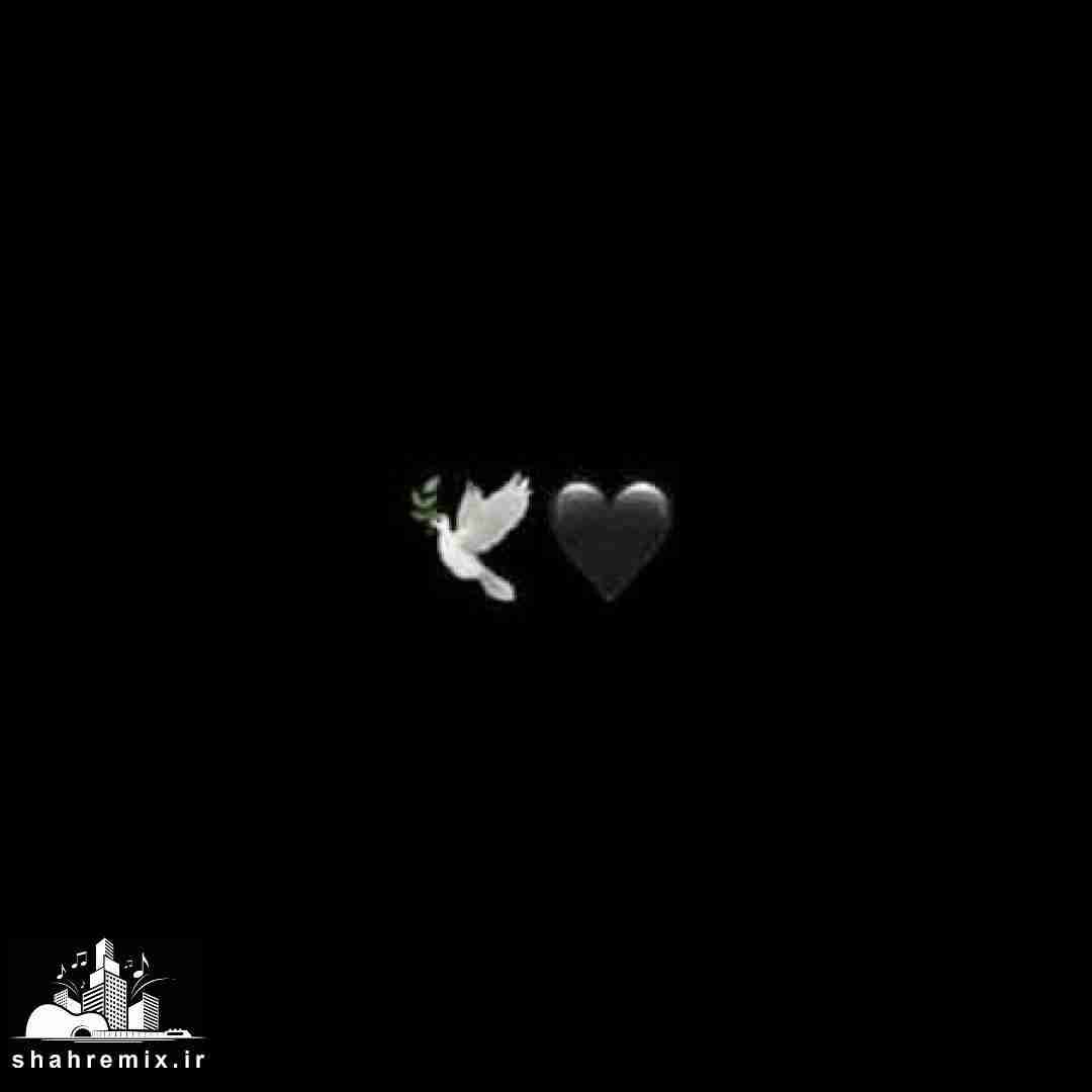  آخه من قربون اون صورت احمقت برم با صدای گلزار