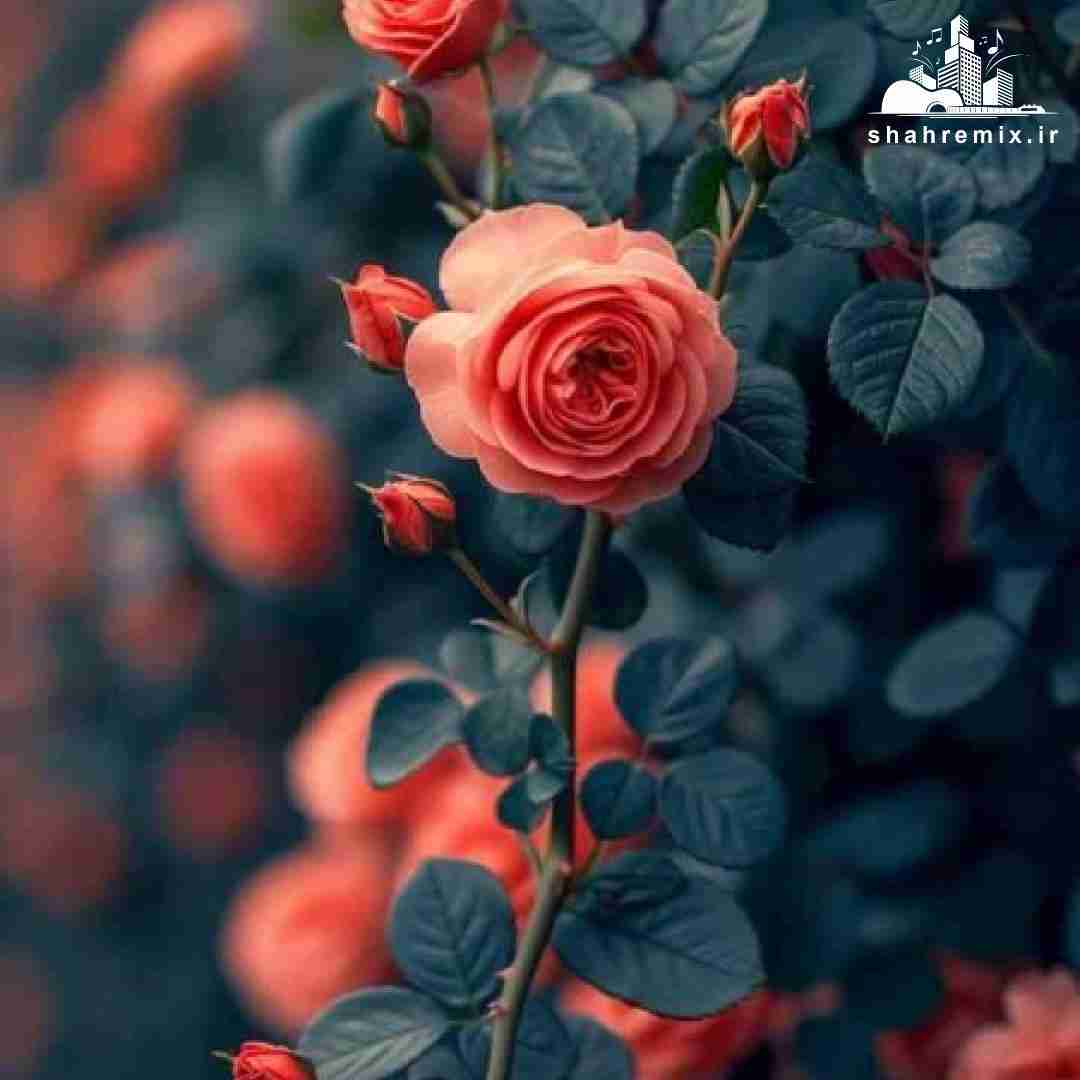  بگو چی شد فاصله ها کم کم تهش شدم قاتل ماه