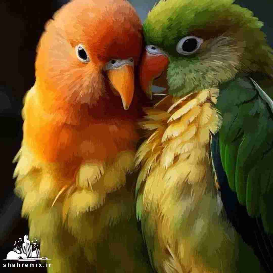 داشت بازم سرحاله سرحاله