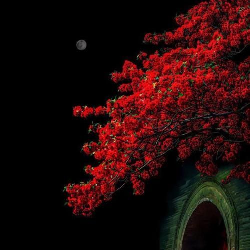  صدا خندمون تهران نیست این شهر به دیوونگیشه