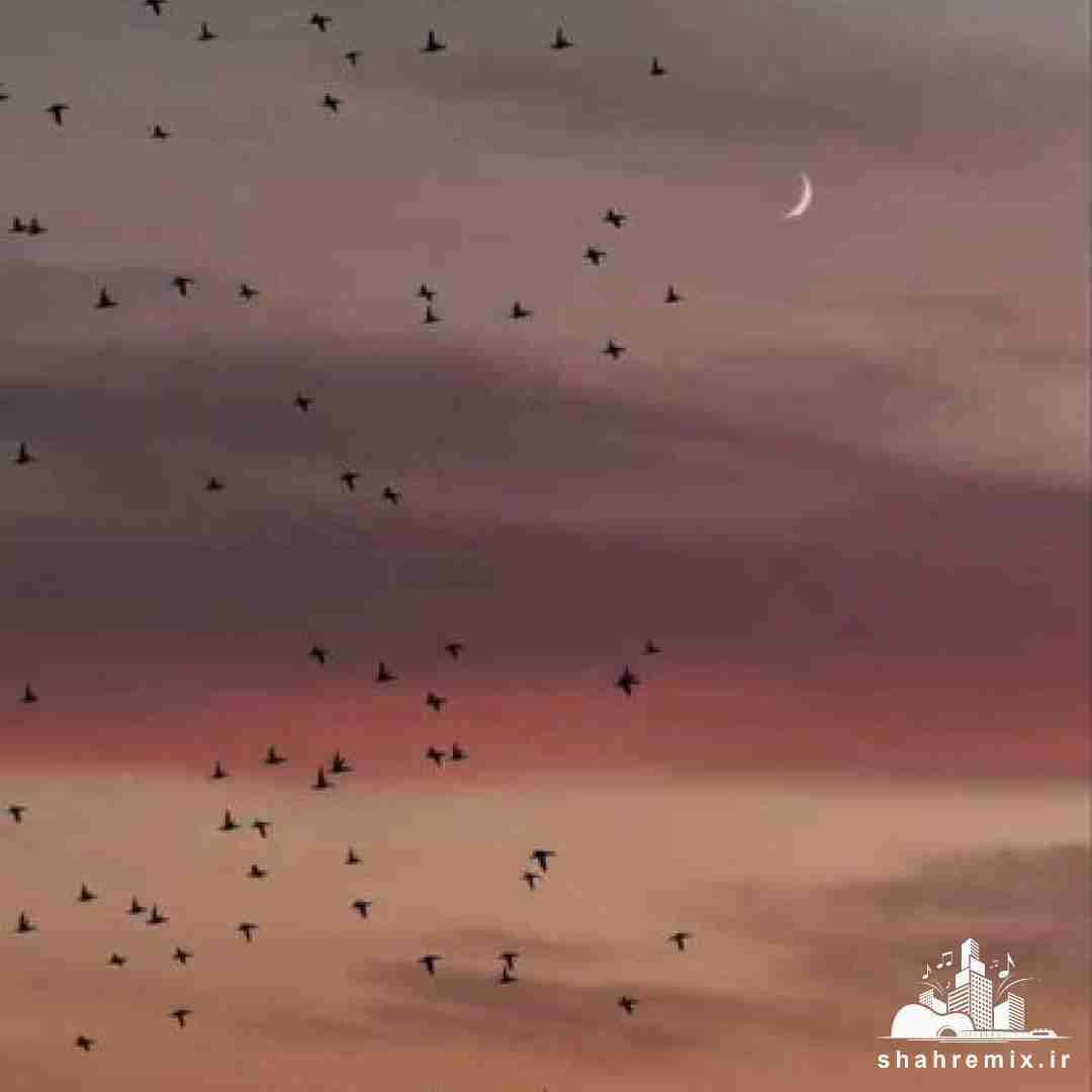  بزن باران بهاران فصل خون است بزن باران که صحرا