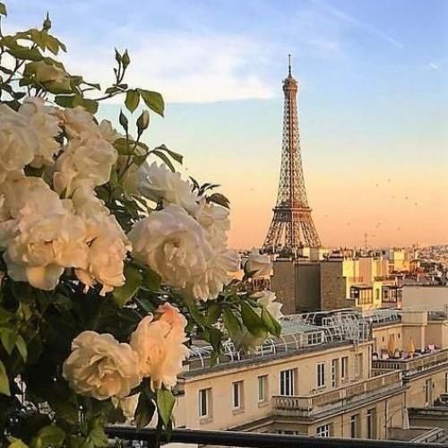  دیدی ای دل چه زود اون که دنیای تو بود