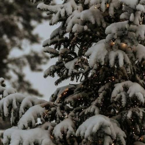  وای دمش گرم دافیه رو معطلش کرد