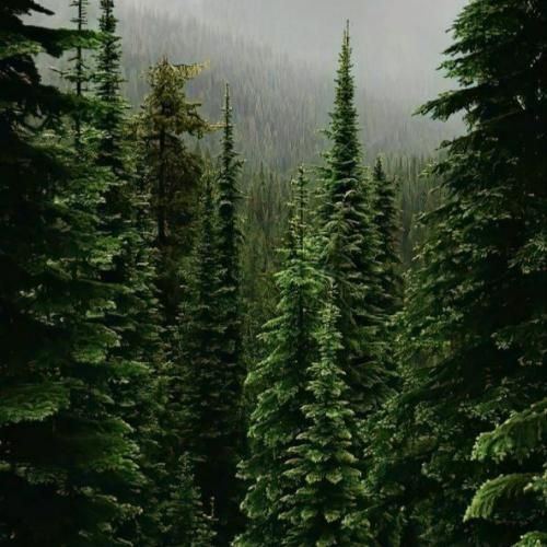  گوشیشو بگیر که لو رفت عکسا تو اکسپلور رفت