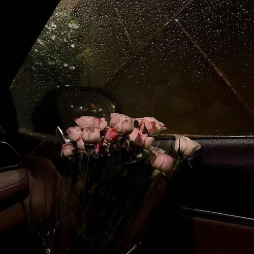 بورا میصیر یولودو شینقلی نانای نانای