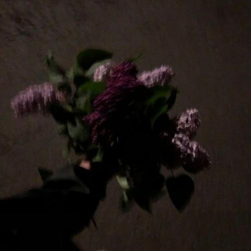 گاف دادم واسش باخت دادم با من خوب نبود بازم واسادم