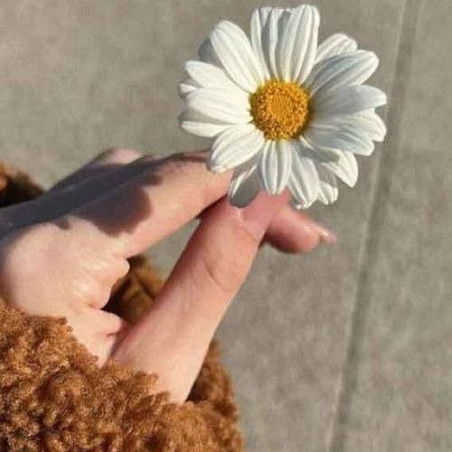 چقد پیر شدم این چند سال آب از سر ما گذشته