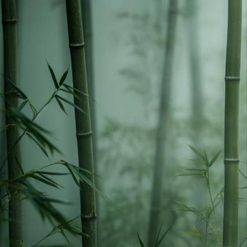  پاپارازیا با لنزشون کراشن روم میارم بیرون