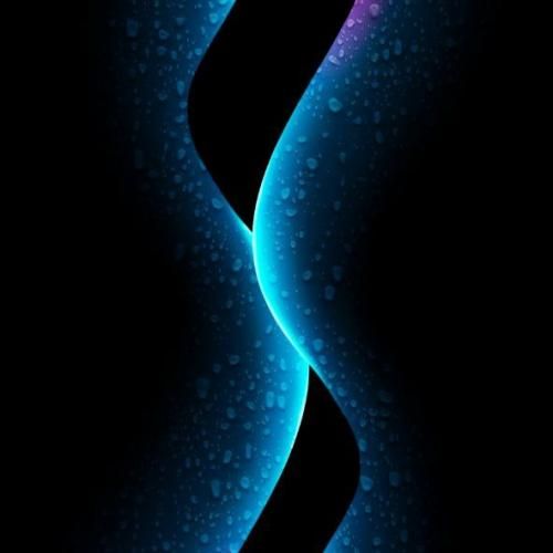 چه خبره خر تو خره عمو سبزی فروش