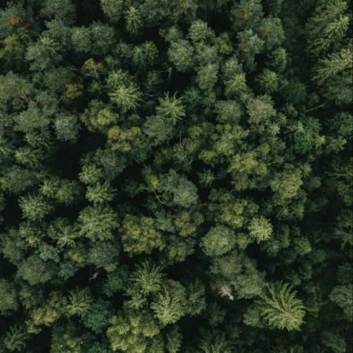 فاطمه مهلبان پشیمون