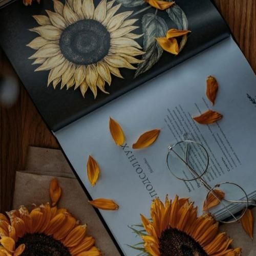  بنز نمیرسه به تو کلاسش پوست تنت به چشمم