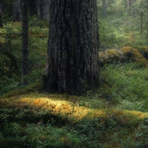 دانلود ریمیکس حالا من موندمو این ویرونه ها پر خشم و کینه ی دانلود ریمیکس حالا من موندمو این ویرونه ها پر خشم و کینه ی