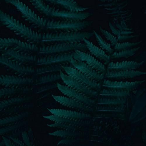  گرگ و میش نگاه تو طوفان لب بوسه خواه تو